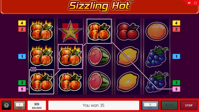 Sizzling Hot - скриншот 13