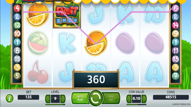 Fruit Shop - скриншот 8