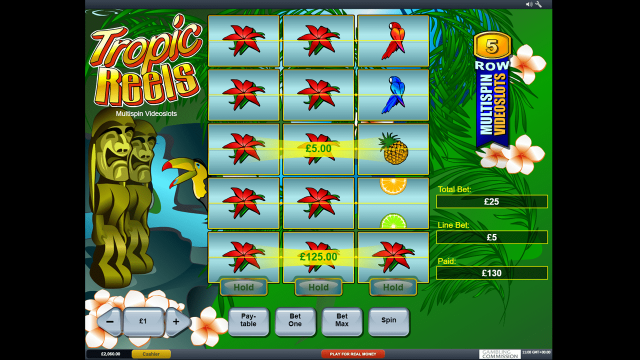 Tropic Reels - скриншот 8