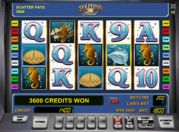 Dolphin's Pearl в казино 24 Вулкан