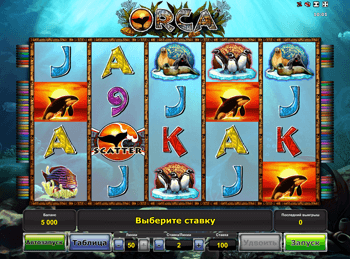 Orca в клубе Вулкан 24